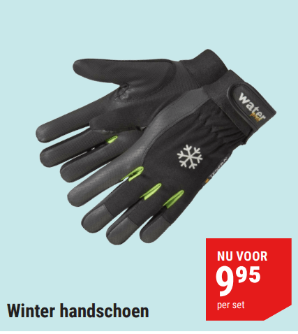 Winterhandschoen per Set